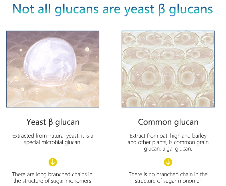 High Quality Enriched Yeast Extract 70% Beta Glucan Powder